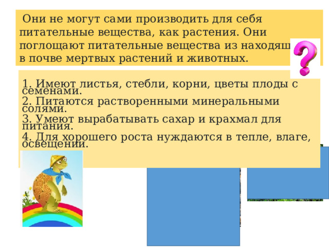 Они не могут сами производить для себя питательные вещества, как растения. Они поглощают питательные вещества из находящихся в почве мертвых растений и животных.   1. Имеют листья, стебли, корни, цветы плоды с семенами. 2. Питаются растворенными минеральными солями. 3. Умеют вырабатывать сахар и крахмал для питания. 4. Для хорошего роста нуждаются в тепле, влаге, освещении. 