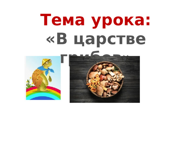 Тема урока: «В царстве грибов»  