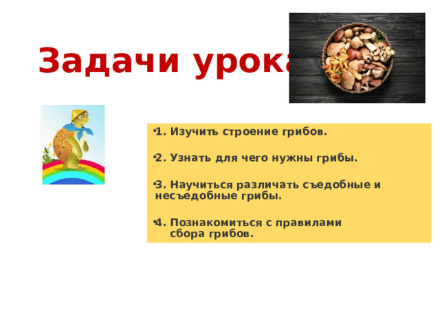 Задачи урока. 1. Изучить строение грибов.  2. Узнать для чего нужны грибы.  3. Научиться различать съедобные и несъедобные грибы.  4. Познакомиться с правилами сбора грибов.  