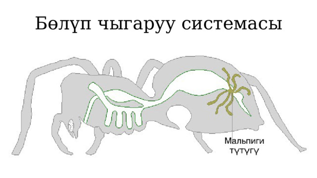 Бөлүп чыгаруу системасы 1 