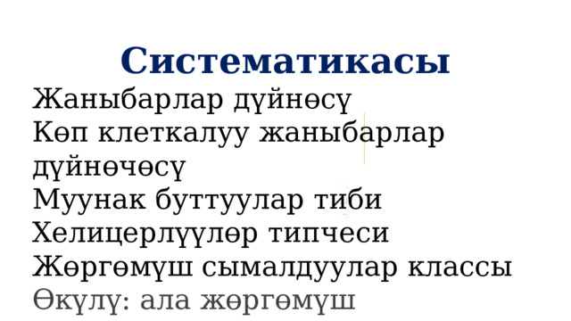 Систематикасы Жаныбарлар дүйнөсү Көп клеткалуу жаныбарлар дүйнөчөсү Муунак буттуулар тиби Хелицерлүүлөр типчеси Жөргөмүш сымалдуулар классы Өкүлү: ала жөргөмүш 1 