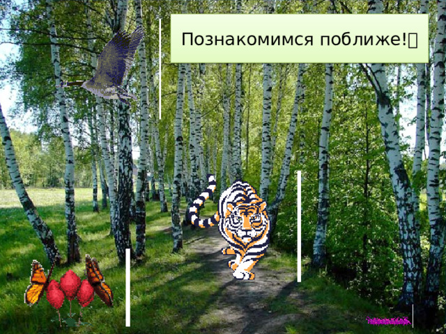 Познакомимся поближе!  