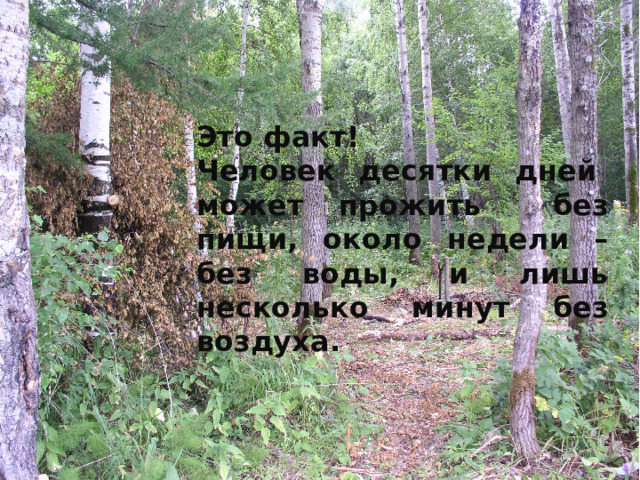 Это факт! Человек десятки дней может прожить без пищи, около недели – без воды, и лишь несколько минут без воздуха. 