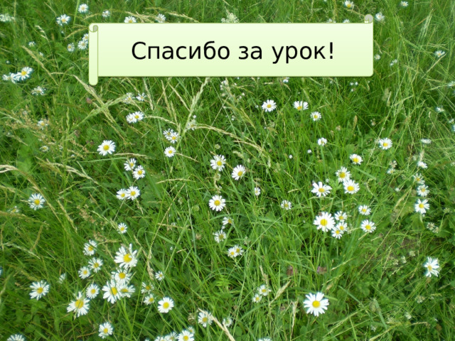 Спасибо за урок! 