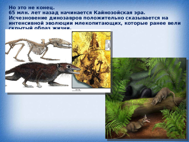 Но это не конец.  65 млн. лет назад начинается Кайнозойская эра. Исчезновение динозавров положительно сказывается на интенсивной эволюции млекопитающих, которые ранее вели скрытый образ жизни.   