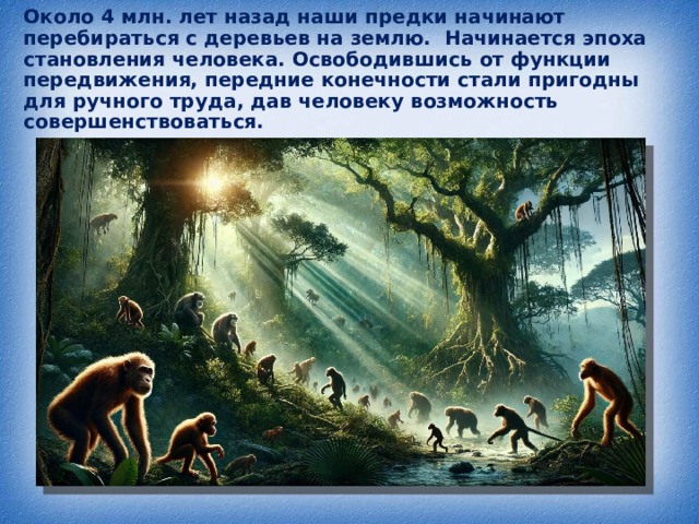 Около 4 млн. лет назад наши предки начинают перебираться с деревьев на землю. Начинается эпоха становления человека. Освободившись от функции передвижения, передние конечности стали пригодны для ручного труда, дав человеку возможность совершенствоваться. 