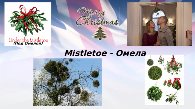 (Под Омелой) Mistletoe - Омела 