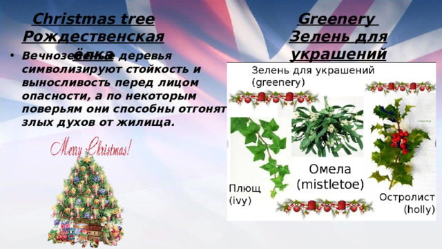 Greenery Зелень для украшений Сhristmas tree Рождественская ёлка Вечнозеленые деревья символизируют стойкость и выносливость перед лицом опасности, а по некоторым поверьям они способны отгонять злых духов от жилища. 