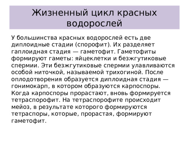 Жизненный цикл красных водорослей У большинства красных водорослей есть две диплоидные стадии (спорофит). Их разделяет гаплоидная стадия — гаметофит. Гаметофиты формируют гаметы: яйцеклетки и безжгутиковые спермии. Эти безжгутиковые спермии улавливаются особой ниточкой, называемой трихогиной. После оплодотворения образуется диплоидная стадия — гонимокарп, в котором образуются карпоспоры. Когда карпоспоры прорастают, вновь формируется тетраспорофит. На тетраспорофите происходит мейоз, в результате которого формируются тетраспоры, которые, прорастая, формируют гаметофит. 