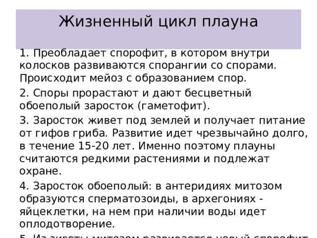 Жизненный цикл плауна   1. Преобладает спорофит, в котором внутри колосков развиваются спорангии со спорами. Происходит мейоз с образованием спор. 2. Споры прорастают и дают бесцветный обоеполый заросток (гаметофит). 3. Заросток живет под землей и получает питание от гифов гриба. Развитие идет чрезвычайно долго, в течение 15-20 лет. Именно поэтому плауны считаются редкими растениями и подлежат охране. 4. Заросток обоеполый: в антеридиях митозом образуются сперматозоиды, в архегониях - яйцеклетки, на нем при наличии воды идет оплодотворение. 5. Из зиготы митозом развивается новый спорофит — взрослый плаун. 