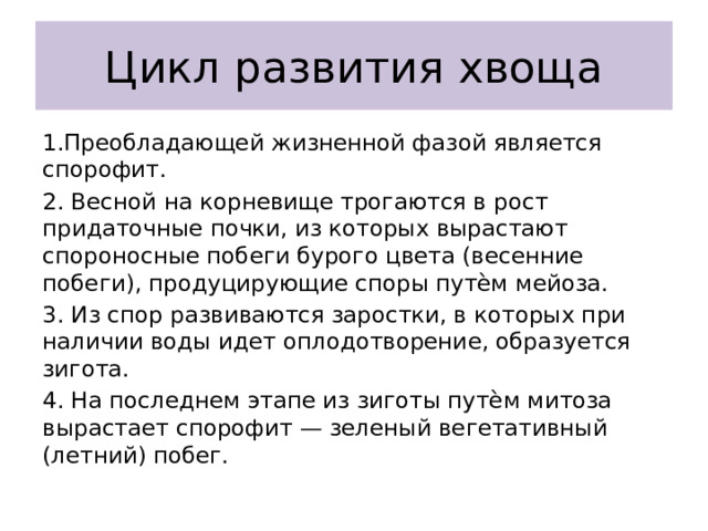 Цикл развития хвоща 1.Преобладающей жизненной фазой является спорофит. 2. Весной на корневище трогаются в рост придаточные почки, из которых вырастают спороносные побеги бурого цвета (весенние побеги), продуцирующие споры путѐм мейоза. 3. Из спор развиваются заростки, в которых при наличии воды идет оплодотворение, образуется зигота. 4. На последнем этапе из зиготы путѐм митоза вырастает спорофит — зеленый вегетативный (летний) побег. 