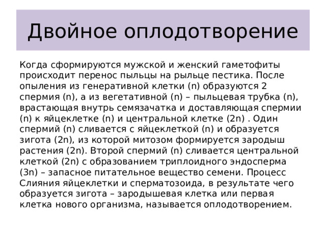 Двойное оплодотворение Когда сформируются мужской и женский гаметофиты происходит перенос пыльцы на рыльце пестика. После опыления из генеративной клетки (n) образуются 2 спермия (n), а из вегетативной (n) – пыльцевая трубка (n), врастающая внутрь семязачатка и доставляющая спермии (n) к яйцеклетке (n) и центральной клетке (2n) . Один спермий (n) сливается с яйцеклеткой (n) и образуется зигота (2n), из которой митозом формируется зародыш растения (2n). Второй спермий (n) сливается центральной клеткой (2n) с образованием триплоидного эндосперма (3n) – запасное питательное вещество семени. Процесс Слияния яйцеклетки и сперматозоида, в результате чего образуется зигота – зародышевая клетка или первая клетка нового организма, называется оплодотворением. 