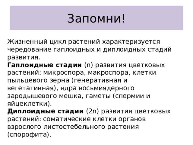 Запомни! Жизненный цикл растений характеризуется чередование гаплоидных и диплоидных стадий развития. Гаплоидные стадии (n) развития цветковых растений: микроспора, макроспора, клетки пыльцевого зерна (генеративная и вегетативная), ядра восьмиядерного зародышевого мешка, гаметы (спермии и яйцеклетки). Диплоидные стадии (2n) развития цветковых растений: соматические клетки органов взрослого листостебельного растения (спорофита). 