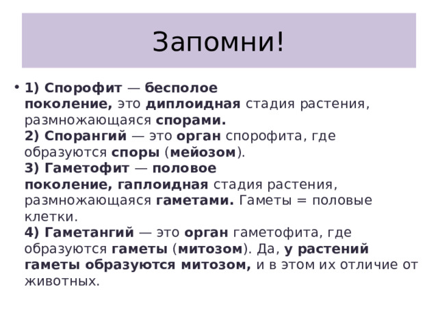 Запомни! 1) Спорофит  —  бесполое поколение,  это  диплоидная  стадия растения, размножающаяся  спорами.  2) Спорангий  — это  орган  спорофита, где образуются  споры  ( мейозом ).  3) Гаметофит  —  половое поколение,   гаплоидная  стадия растения, размножающаяся  гаметами.  Гаметы = половые клетки.  4) Гаметангий  — это  орган  гаметофита, где образуются  гаметы  ( митозом ). Да,  у растений гаметы образуются митозом,  и в этом их отличие от животных. 