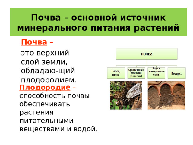 Почва – основной источник минерального питания растений Почва –  это верхний слой земли, обладаю-щий плодородием. Плодородие – способность почвы обеспечивать растения питательными веществами и водой. 