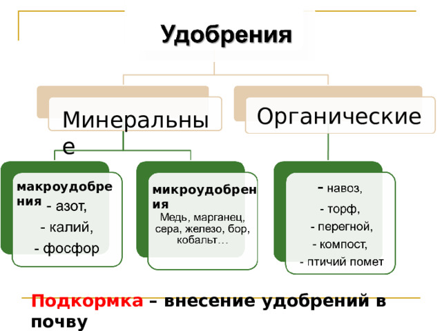 Органические Минеральные макроудобрения микроудобрения Подкормка – внесение удобрений в почву 
