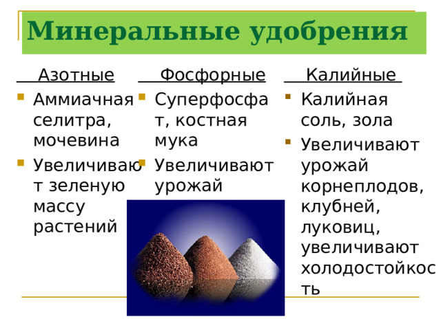 Минеральные удобрения  Калийные  Азотные  Фосфорные Калийная соль, зола Увеличивают урожай корнеплодов, клубней, луковиц, увеличивают холодостойкость Аммиачная селитра, мочевина Увеличивают зеленую массу растений Суперфосфат, костная мука Увеличивают урожай плодов 