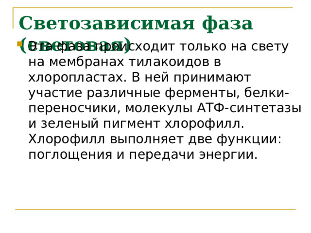 Светозависимая фаза (световая) Эта фаза происходит только на свету на мембранах тилакоидов в хлоропластах. В ней принимают участие различные ферменты, белки-переносчики, молекулы АТФ-синтетазы и зеленый пигмент хлорофилл. Хлорофилл выполняет две функции: поглощения и передачи энергии. 