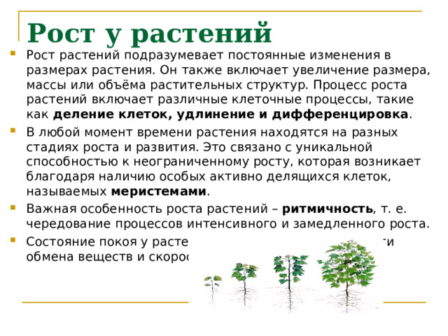 Рост у растений Рост растений подразумевает постоянные изменения в размерах растения. Он также включает увеличение размера, массы или объёма растительных структур. Процесс роста растений включает различные клеточные процессы, такие как деление клеток, удлинение и дифференцировка . В любой момент времени растения находятся на разных стадиях роста и развития. Это связано с уникальной способностью к неограниченному росту, которая возникает благодаря наличию особых активно делящихся клеток, называемых меристемами . Важная особенность роста растений – ритмичность , т. е. чередование процессов интенсивного и замедленного роста. Состояние покоя у растений – снижение интенсивности обмена веществ и скорости роста. 