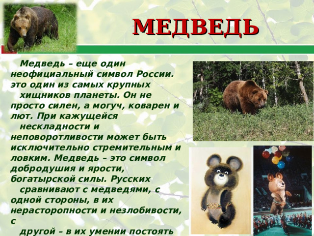 МЕДВЕДЬ Медведь – еще один неофициальный символ России. это один из самых крупных хищников планеты. Он не просто силен, а могуч, коварен и лют. При кажущейся нескладности и неповоротливости может быть исключительно стремительным и ловким. Медведь – это символ добродушия и ярости, богатырской силы. Русских сравнивают с медведями, с одной стороны, в их нерасторопности и незлобивости, с другой – в их умении постоять за себя. Недаром именно медведя выбрали символом Олимпиады, проходившей в Москве в 1980 году. 