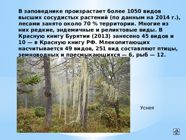 В заповеднике произрастает более 1050 видов высших сосудистых растений (по данным на 2014 г.), лесами занято около 70 % территории. Многие из них редкие, эндемичные и реликтовые виды. В Красную книгу Бурятии (2013) занесено 45 видов и 10 — в Красную книгу РФ. Млекопитающих насчитывается 49 видов, 251 вид составляют птицы, земноводных и пресмыкающихся — 6, рыб — 12. Уснея 