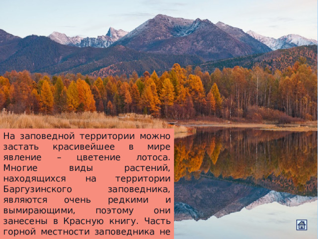 На заповедной территории можно застать красивейшее в мире явление – цветение лотоса. Многие виды растений, находящихся на территории Баргузинского заповедника, являются очень редкими и вымирающими, поэтому они занесены в Красную книгу. Часть горной местности заповедника не покрыта растительностью и имеет каменную поверхность. 