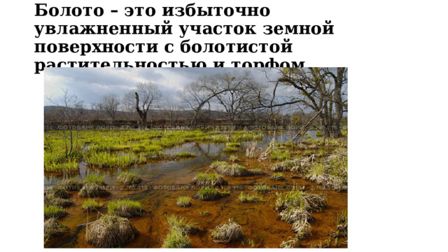 Болото – это избыточно увлажненный участок земной поверхности с болотистой растительностью и торфом 