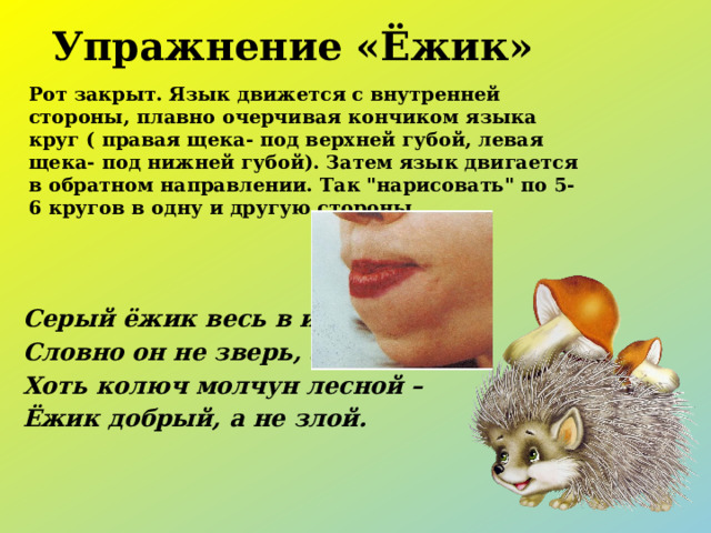 Упражнение «Ёжик» Рот закрыт. Язык движется с внутренней стороны, плавно очерчивая кончиком языка круг ( правая щека- под верхней губой, левая щека- под нижней губой). Затем язык двигается в обратном направлении. Так 