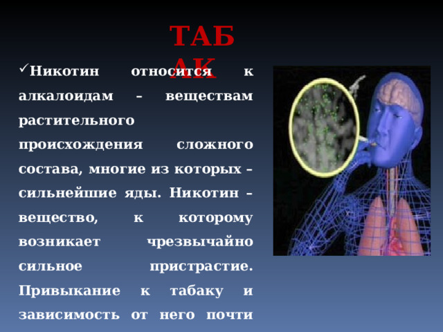 ТАБАК   Никотин относится к алкалоидам – веществам растительного происхождения сложного состава, многие из которых – сильнейшие яды. Никотин – вещество, к которому возникает чрезвычайно сильное пристрастие. Привыкание к табаку и зависимость от него почти столь же сильные, как зависимость от кокаина или героина. 