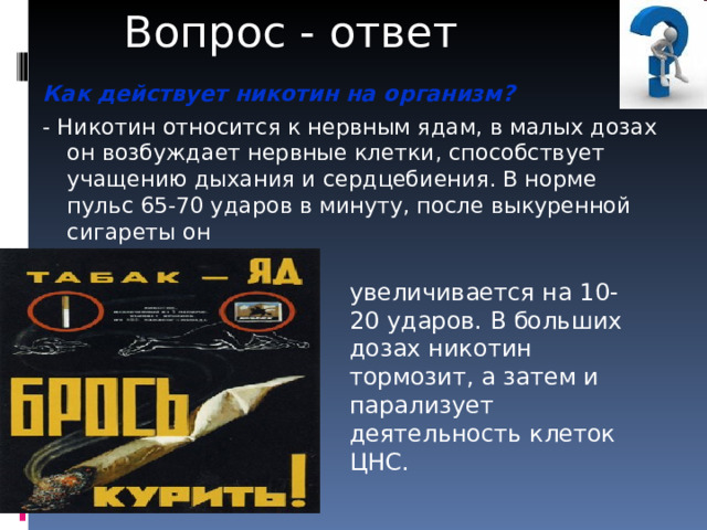 Вопрос - ответ увеличивается на 10-20 ударов. В больших дозах никотин тормозит, а затем и парализует деятельность клеток ЦНС. Как действует никотин на организм? - Никотин относится к нервным ядам, в малых дозах он возбуждает нервные клетки, способствует учащению дыхания и сердцебиения. В норме пульс 65-70 ударов в минуту, после выкуренной сигареты он 