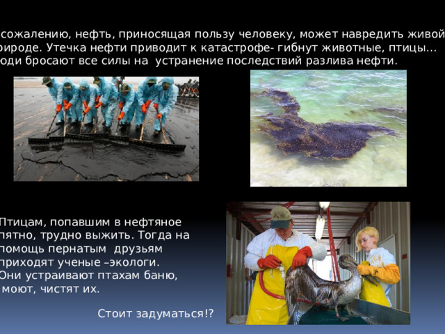 К сожалению, нефть, приносящая пользу человеку, может навредить живой природе.  Утечка нефти приводит к катастрофе- гибнут животные, птицы… Люди бросают все силы на устранение последствий разлива нефти. Птицам, попавшим в нефтяное пятно, трудно выжить. Тогда на помощь пернатым друзьям приходят ученые –экологи. Они устраивают птахам баню,  моют, чистят их. Стоит задуматься!? 