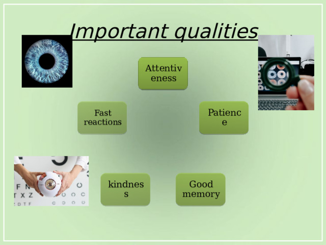 Important qualities Attentiveness Patience Fast reactions Good memory kindness 