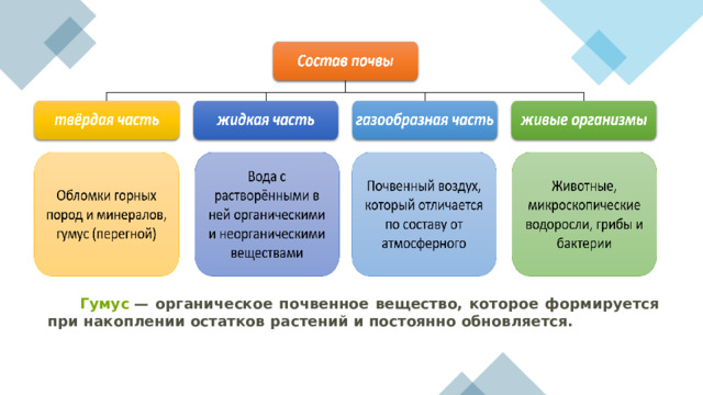  Гумус  — органическое почвенное вещество, которое формируется при накоплении остатков растений и постоянно обновляется. 