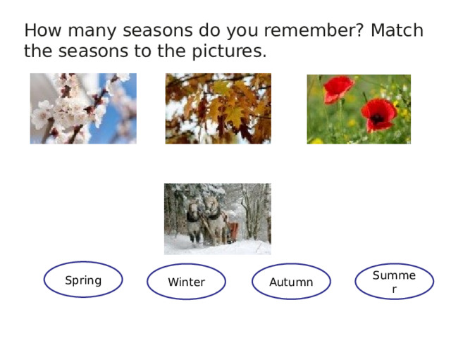 How many seasons do you remember? Match the seasons to the pictures. Spring Autumn Summer Winter 