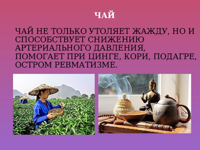 Чай  ЧАЙ НЕ ТОЛЬКО УТОЛЯЕТ ЖАЖДУ, НО И СПОСОБСТВУЕТ СНИЖЕНИЮ АРТЕРИАЛЬНОГО ДАВЛЕНИЯ, ПОМОГАЕТ ПРИ ЦИНГЕ, КОРИ, ПОДАГРЕ, ОСТРОМ РЕВМАТИЗМЕ. 