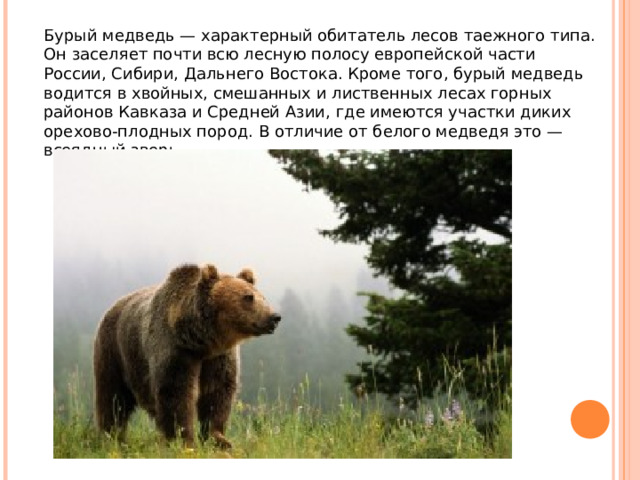 Бурый медведь — характерный обитатель лесов таежного типа. Он заселяет почти всю лесную полосу европейской части России, Сибири, Дальнего Востока. Кроме того, бурый медведь водится в хвойных, смешанных и лиственных лесах горных районов Кавказа и Средней Азии, где имеются участки диких орехово-плодных пород. В отличие от белого медведя это — всеядный зверь. 