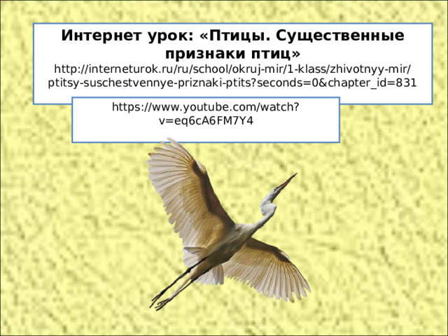 Интернет урок: «Птицы. Существенные признаки птиц» http://interneturok.ru/ru/school/okruj-mir/1-klass/zhivotnyy-mir/ptitsy-suschestvennye-priznaki-ptits?seconds=0&chapter_id=831 https://www.youtube.com/watch?v=eq6cA6FM7Y4 