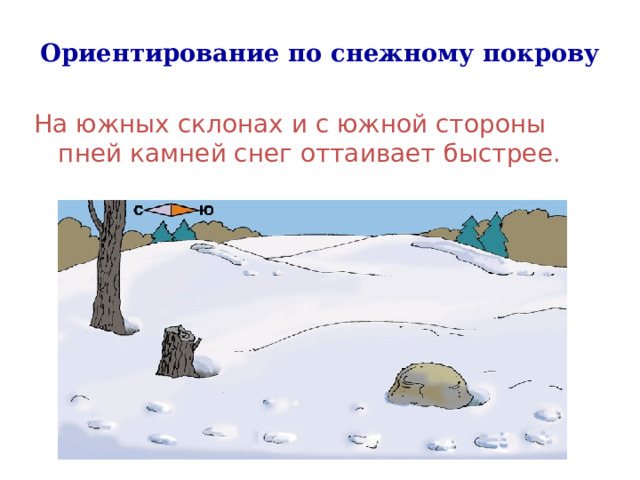 Ориентирование по снежному покрову На южных склонах и с южной стороны пней камней снег оттаивает быстрее.  