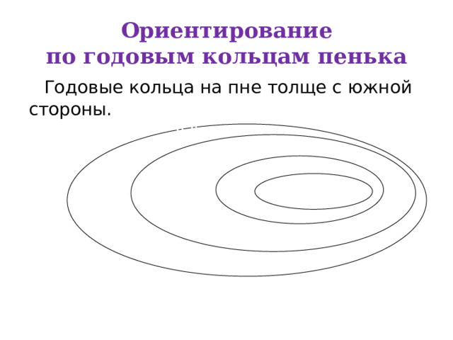 Ориентирование  по годовым кольцам пенька  Годовые кольца на пне толще с южной стороны. Север Юг 