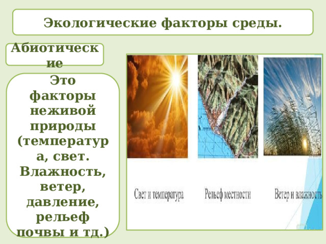 Экологические факторы среды. Абиотические Это факторы неживой природы (температура, свет. Влажность, ветер, давление, рельеф почвы и тд.) 