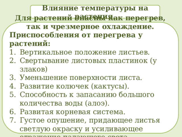 Влияние температуры на растения. Для растений опасны как перегрев, так и чрезмерное охлаждение. Приспособления от перегрева у растений: Вертикальное положение листьев. Свертывание листовых пластинок (у злаков) Уменьшение поверхности листа. Развитие колючек (кактусы). Способность к запасанию большого количества воды (алоэ). Развитая корневая система. Густое опушение, придающее листья светлую окраску и усиливающее отражение падающего света.  