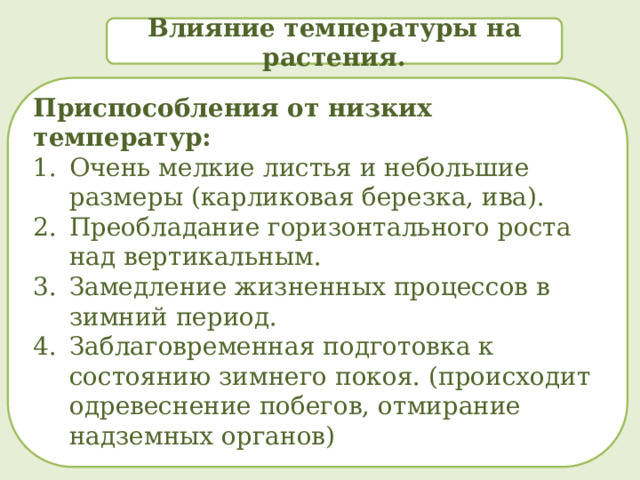 Влияние температуры на растения. Приспособления от низких температур: Очень мелкие листья и небольшие размеры (карликовая березка, ива). Преобладание горизонтального роста над вертикальным. Замедление жизненных процессов в зимний период. Заблаговременная подготовка к состоянию зимнего покоя. (происходит одревеснение побегов, отмирание надземных органов)  