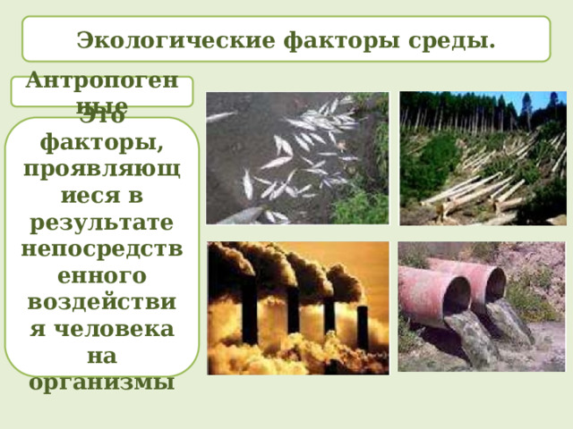 Экологические факторы среды. Антропогенные Это факторы, проявляющиеся в результате непосредственного воздействия человека на организмы 