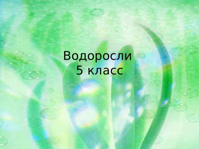  Водоросли  5 класс   