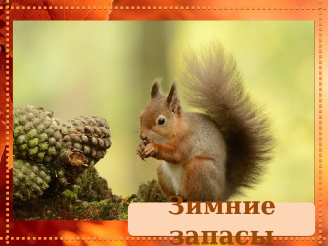 Зимние запасы 