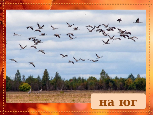 на юг 
