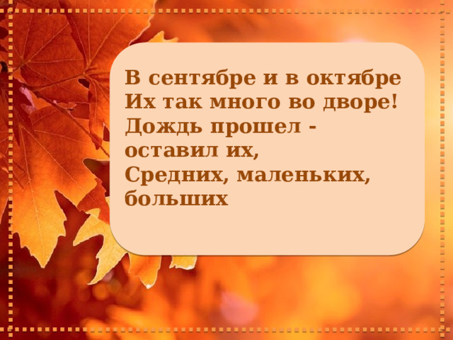     В сентябре и в октябре Их так много во дворе! Дождь прошел - оставил их, Средних, маленьких, больших       