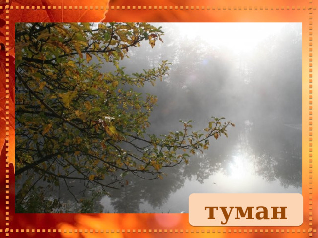 туман 