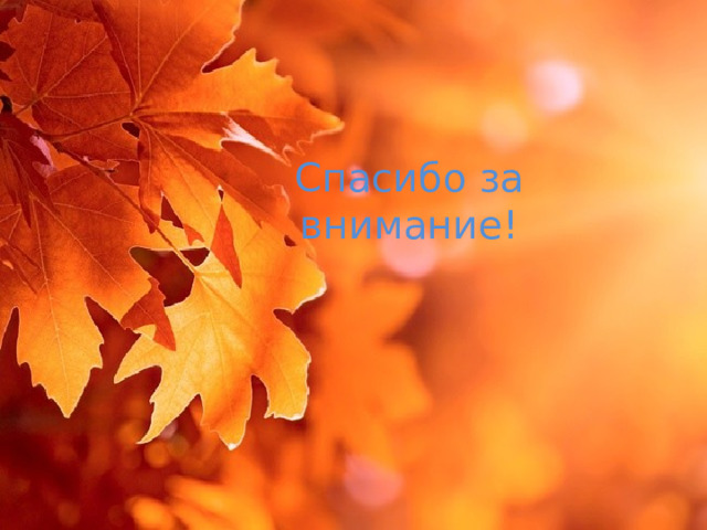Спасибо за внимание! 
