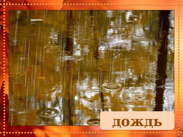дождь 